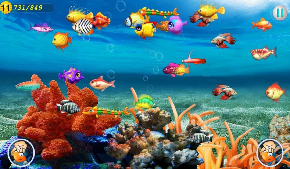 Aplikasi Fish Master Penghasil Cuan: Tips Ampuh Hasilkan Rp50 Ribu Per Hari, Cek Disini