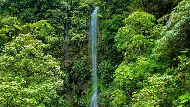 Mengupas Permata Hijau di Naringgul Cianjur, Destinasi Alam Tersembunyi untuk Pencari Ketenangan