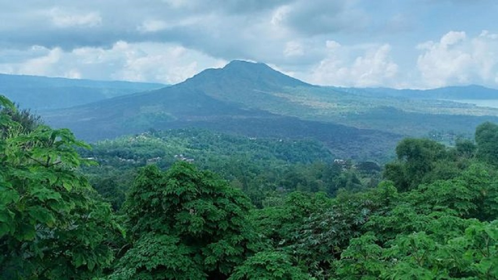 Destinasi Wisata Terbaru 2024 Hutan Pinus Kintamani Bali, Ulasan Lengkap Fasilitas Hingga Daya Tariknya