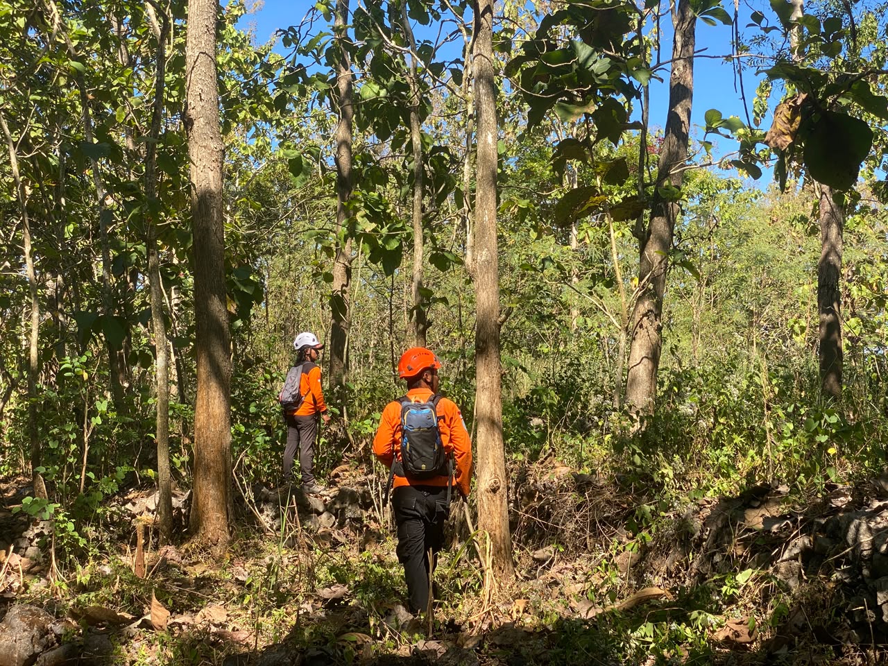 Kabar Duka, Mbah Kasemo Ditemukan Setelah 7 Hari Hilang di Hutan Selorejo Gunungkidul