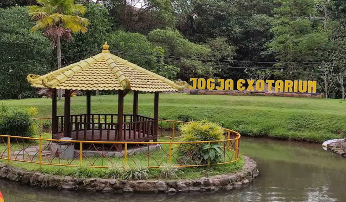 Wisata Terbaru 2024 Zoo Jogja Exotarium yang Miliki Daya Tarik Menawan, Bisa Jadi Sarana Belajar Anak!