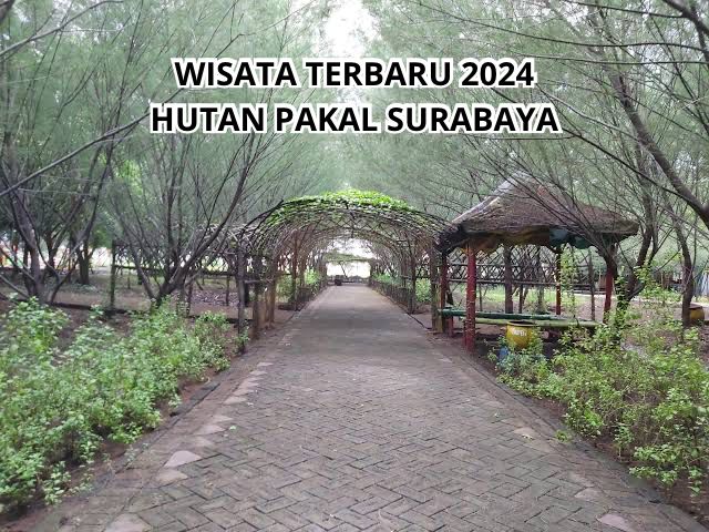 Wisata Terbaru 2024 Hutan Pakal Surabaya, Paru-paru Kota Kaya Akan Pesona, Simak Ulasannya!