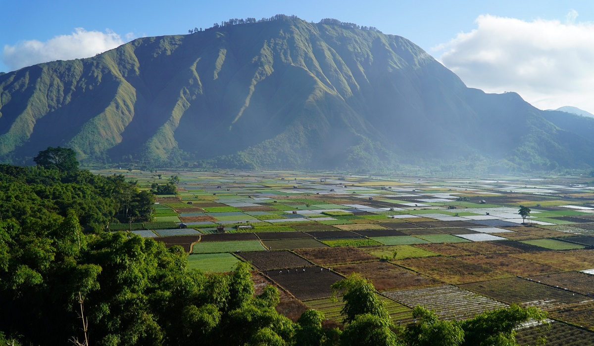 Wisata Pusuk Sembalun Lombok: Aktivitas Seru, Tiket Masuk, Jam Buka dan Lokasi Lengkap, Cek Disini