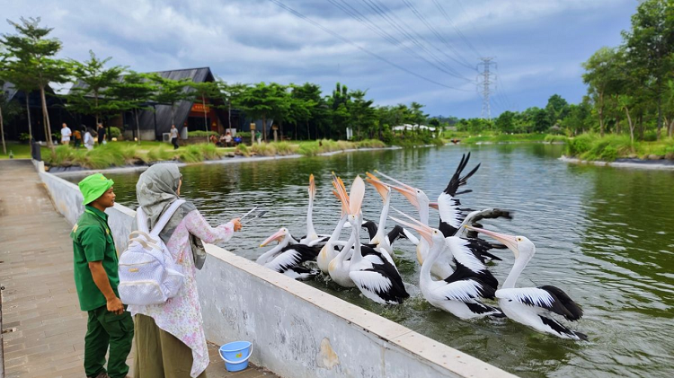 Menjelajahi Wisata Alam Edukasi dan Promo Spesial Aviary Park Indonesia 2026