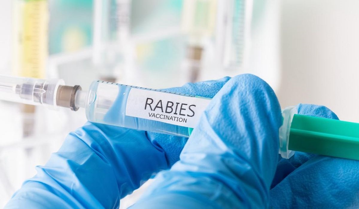 Pertahankan Status Kota Bebas Rabies, Pemkot Yogyakarta Kembali Adakan Vaksinasi Gratis