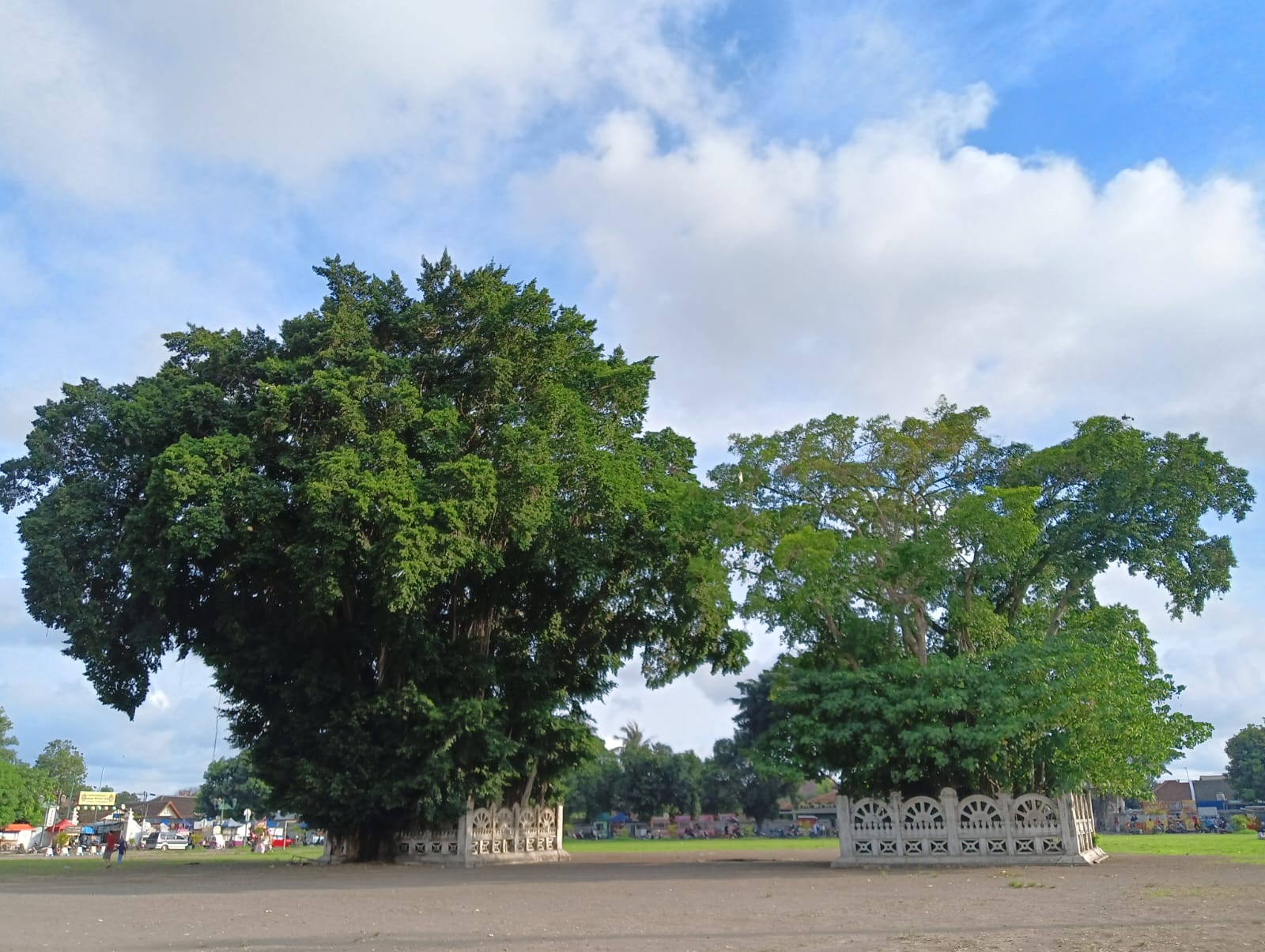 Cobain Yuk Tradisi Masangin, Destinasi Wisata Terbaru 2024 Alun-Alun Kidul Yogyakarta Bikin Geregetan Loh