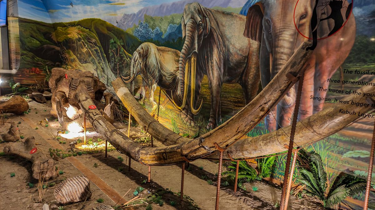 Pesona Tersembunyi Sragen Dari Wisata Purba, Relaksasi Alam dan Kehangatan Budaya