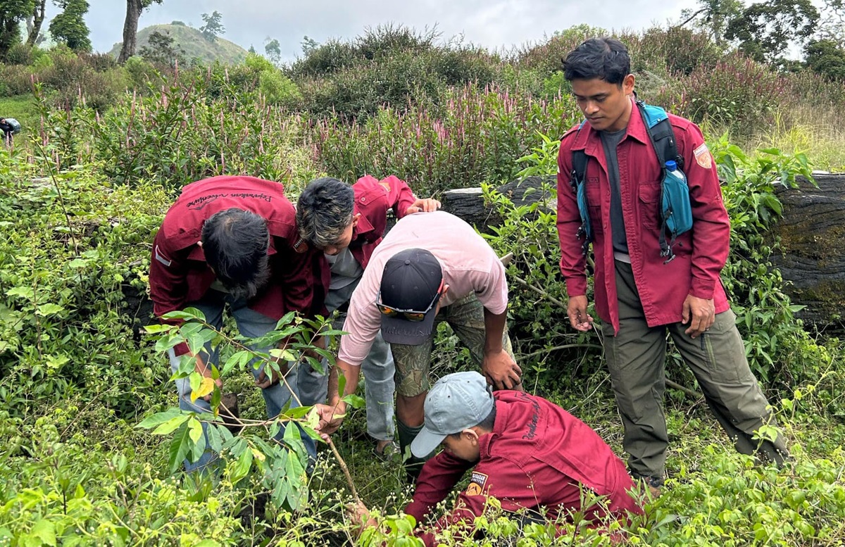 Hutan Lindung Gunung Slamet Rusak, Jaga Rimba Menjaga Nalar Manusia dari Ancaman Bencana