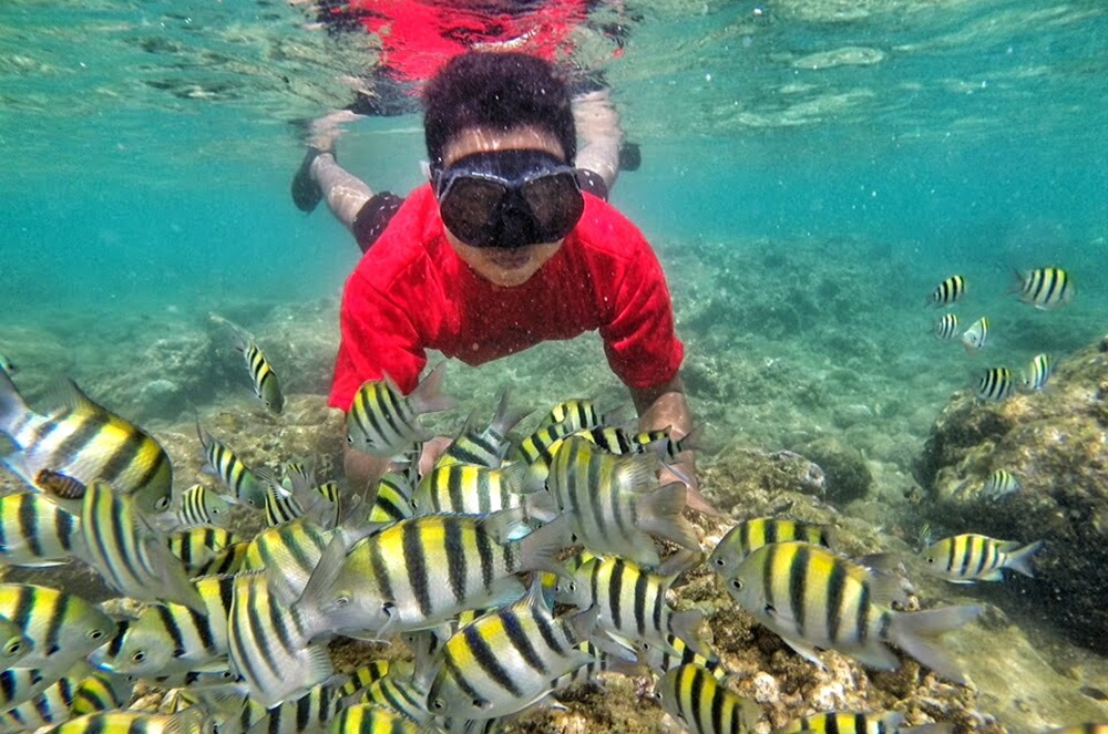 5 Wisata Snorkeling di Jogja, Nikmati Keindahan Bawah Laut dengan Pengalaman Berkesan