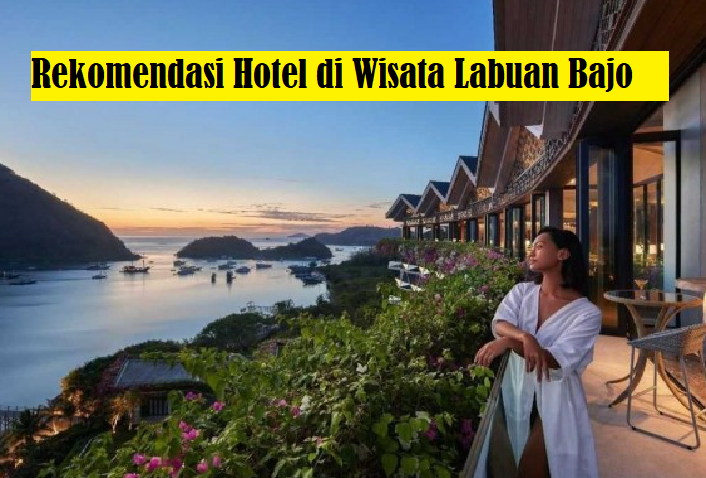 5 Rekomendasi Hotel di Labuan Bajo? Wisata Terbaru 2024, Pilihan Terbaik Nikmati Liburan yang Mengesankan!