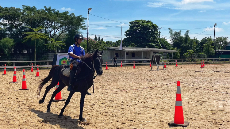 Menemukan Ketenangan di Alam Lewat Wisata Berkuda di Kalimantan Selatan 