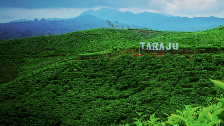 Rekomendasi Destinasi Mutiara Priangan Timur Tasikmalaya Paling Wajib Dikunjungi, Simak Referensi Lengkapnya