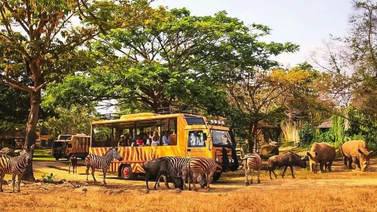 Rekomendasi Tempat Wisata Bali Ramah Anak yang Seru dan Edukatif