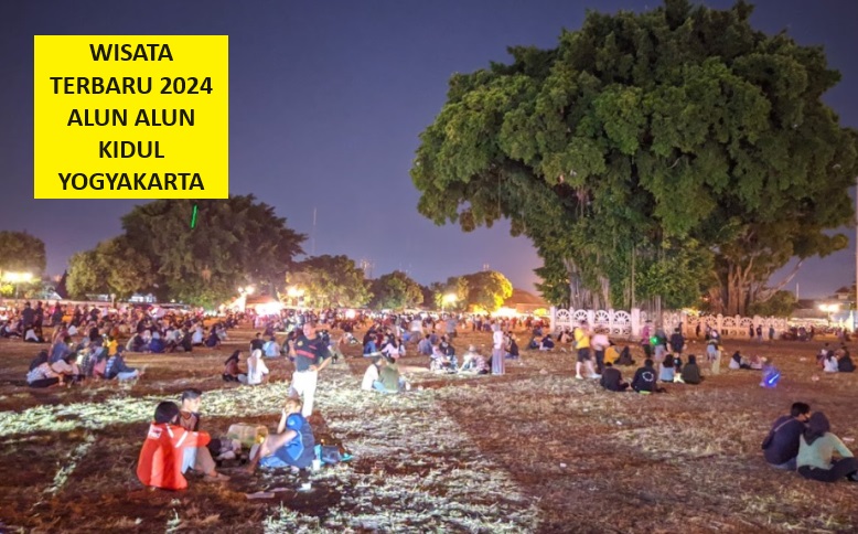 Wow! Wisata Terbaru 2024 Alkid Yogyakarta, Pesona Indah Tantangan Melintasi Pohon Beringin?
