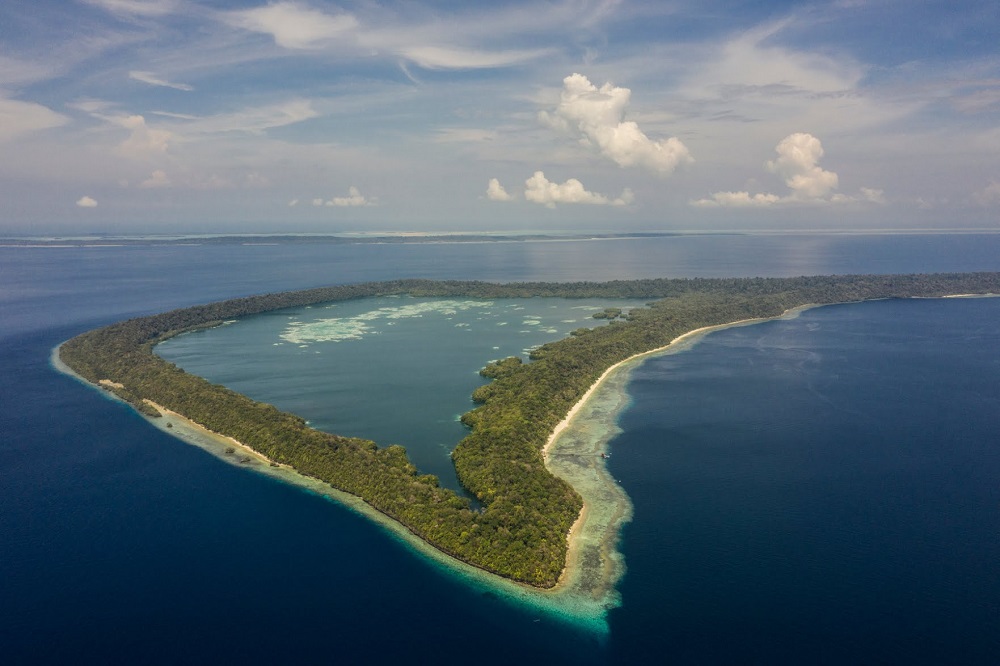 Jelajahi Wisata Terbaru 2024 Unik Danau Kakaban? Sensasi Berenang Dengan Ubur-ubur Tercantik di Indonesia!