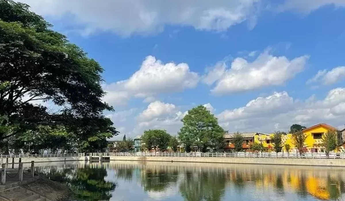 Wisata Embung Langensari Yogyakarta: Aktivitas Menarik, Fasilitas, Jam Buka hingga Lokasi Lengkap