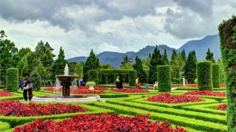 Menjelajahi Keindahan Kebun Begonia Lembang, Destinasi Wisata Bunga Estetik di Bandung