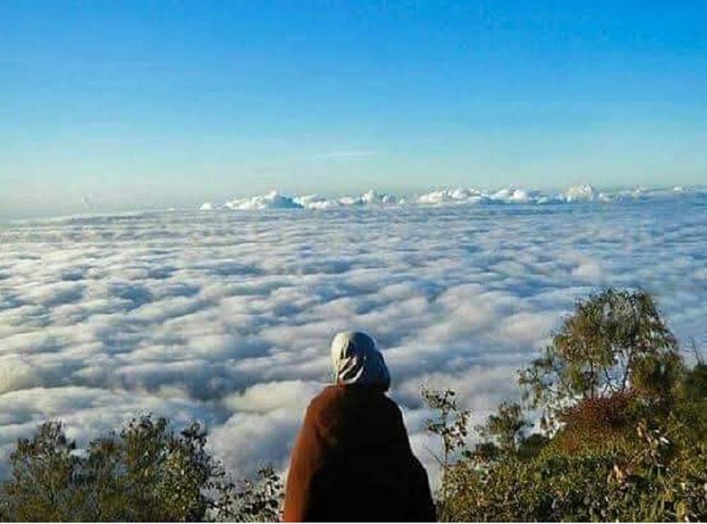 Wisata Terbaru 2024 Gunung Ranti: Lokasi, Jalur Pendakian, Pesona Keindahannya, Buruan Cek Disini