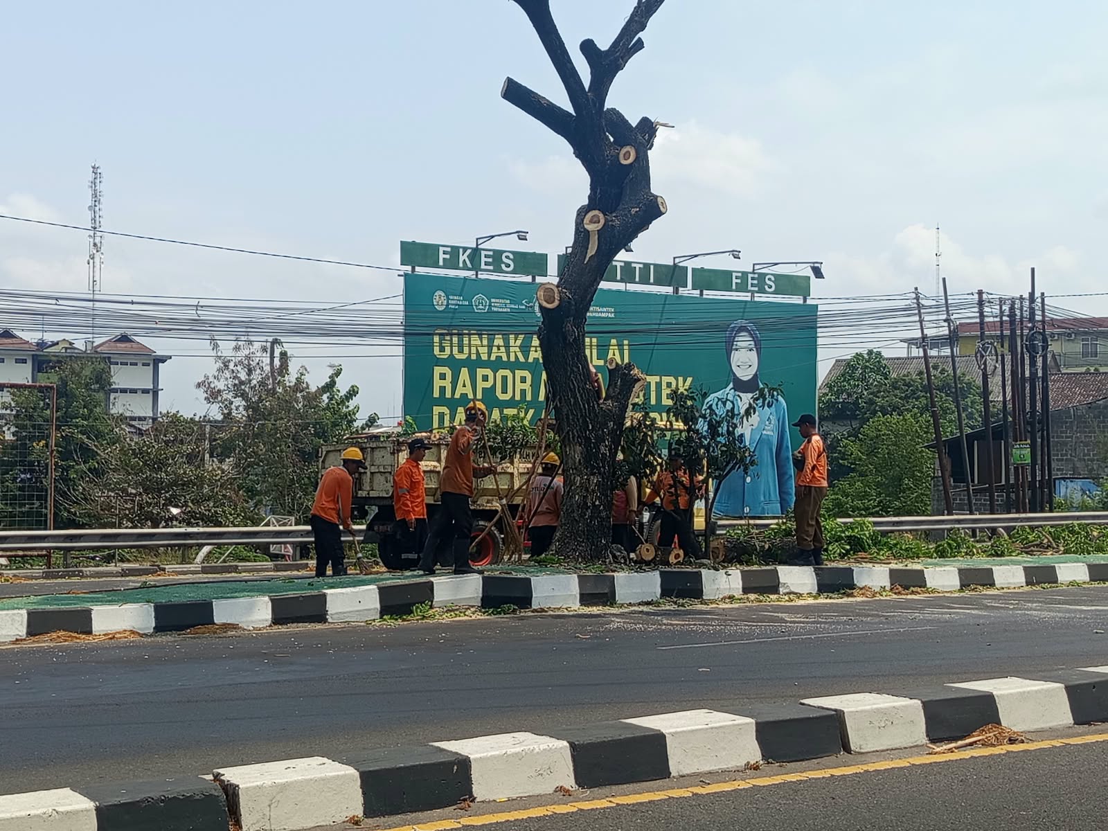 Antisipasi Angin Kencang, Dahan Pohon Perindang  Berbahaya di Jalan Brawijaya Ring Road Barat DIY Dipangkas