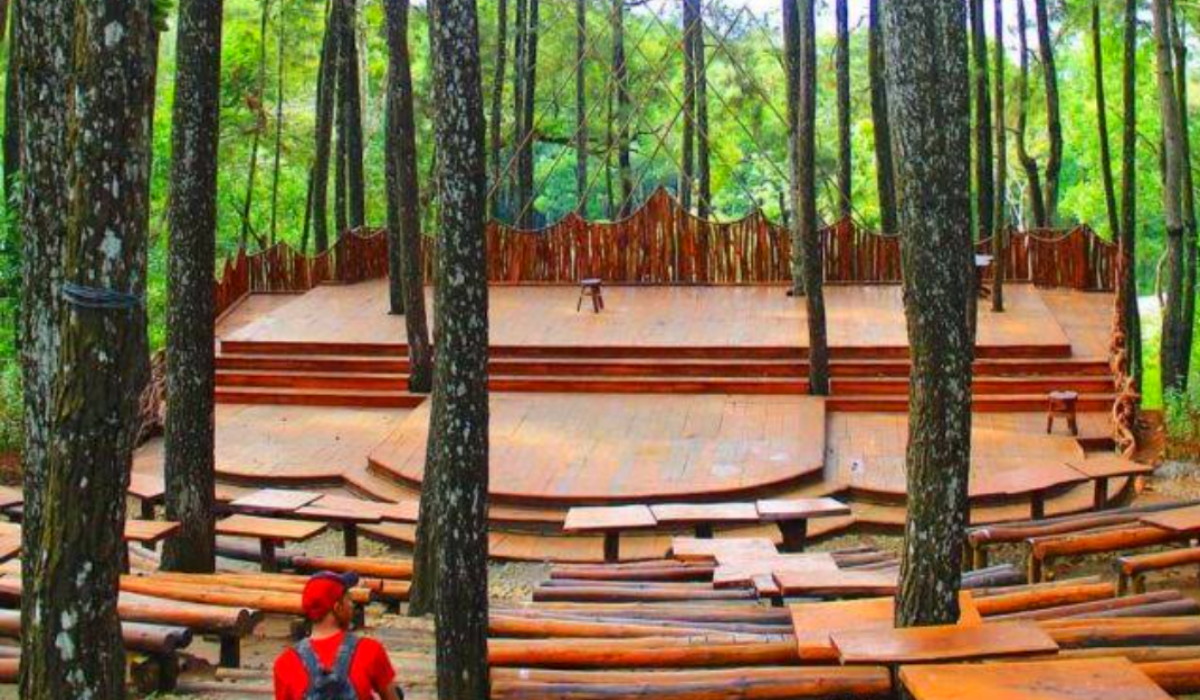 Menyatu Dengan Alam, Berikut Wisata Terbaru 2024 Hutan Pinus Mangunan Dlingo Punya Nuansa Menyejukkan