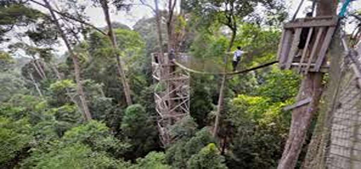 Terbaik dan Memukau! 8 Tempat Wisata Kutai Kartanegara 2025, Dijamin Bikin Liburan Tak Terlupakan