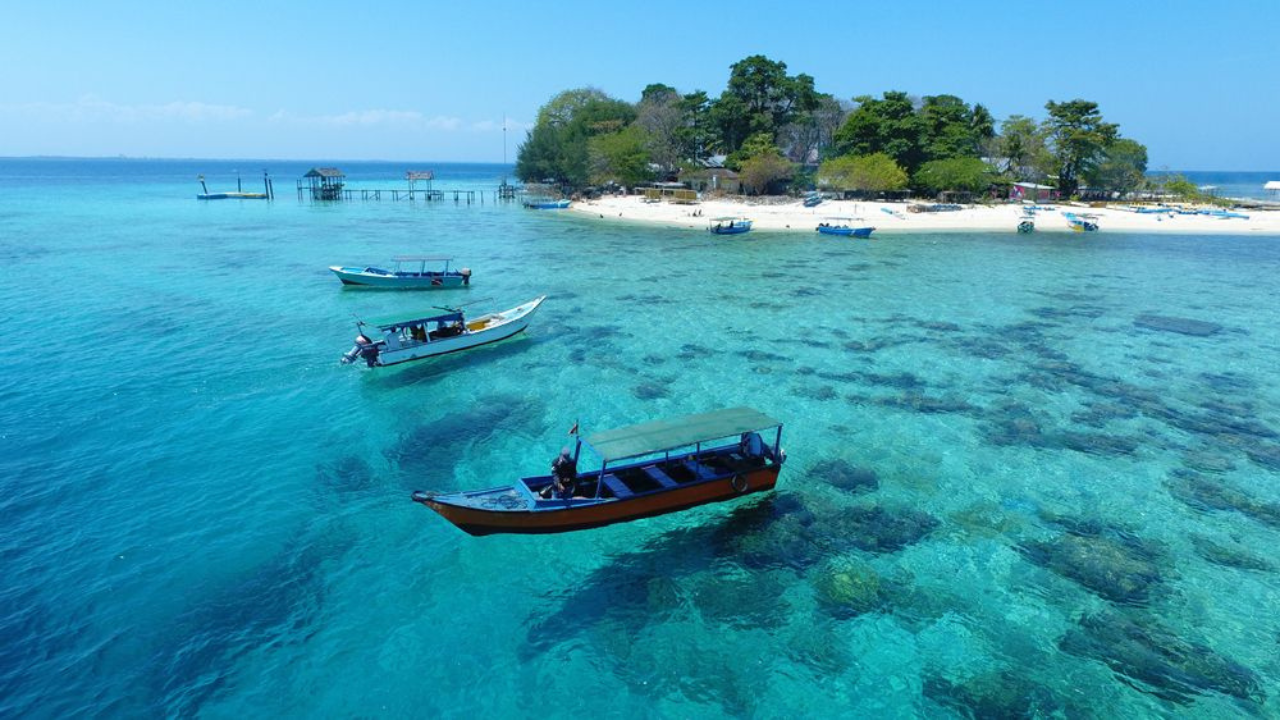 Wisata Pulau Samalona Makassar 202, Pesona Snorkeling Cantik