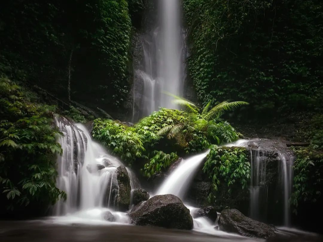 7 Rekomendasi Wisata Terbaru 2024 Air Terjun di Jember, Simak Alamat dan HTMnya Disini