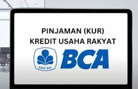 Butuh KUR BCA Limit 500 Juta? Inilah 7 Panduan Mengajukan Pinjaman Bank, Menjadi Alternatif Tambahan Dana UMKM