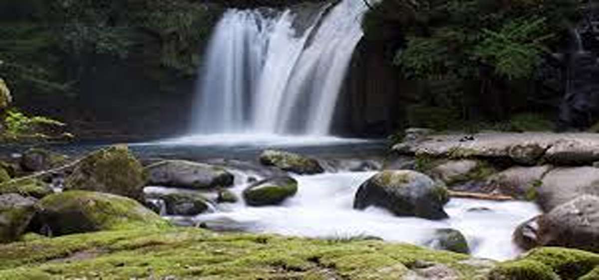 Terhits dan Seru! Mari Jelajahi Tempat Wisata Populer Ngawi 2025, Dijamin Menyenangkan Dengan View Tercantik