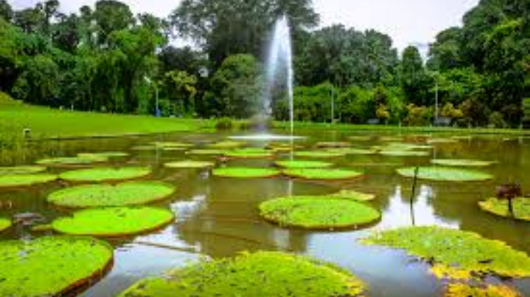 Update Destinasi dan Harga Tiket Masuk Liburan Keluarga di Bogor Februari 2026