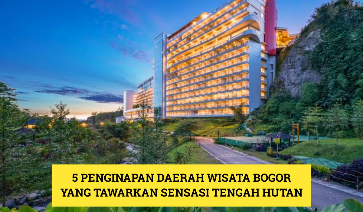 5 Penginapan Murah!! Daerah Wisata Terbaru 2024 Bogor Tawarkan Sensasi Tidur di Tengah Hutan, Cobain Deh!!