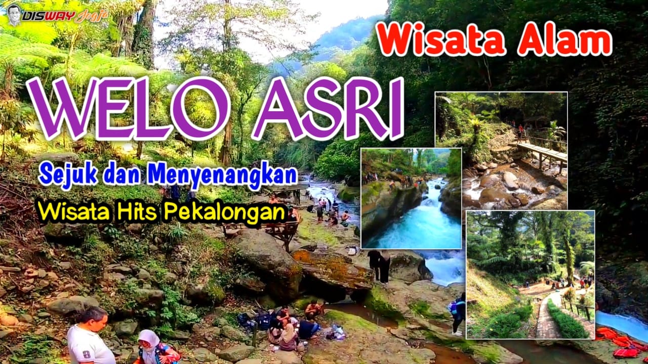 Cari Wisata terbaru 2024? Welo Asri Petungkriyono, Juaranya Destinasi Alam yang Memanjakan Mata