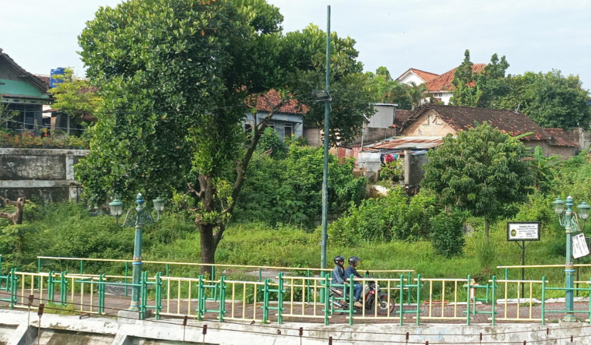 Upaya Lestarikan Tanaman Langka, Pemkot Yogyakarta Akan Bangun 4 Tambahan RTH Publik