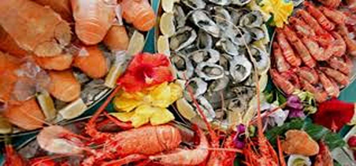 Inilah Beberapa Wisata Kuliner Favorit di Palu, Terkenal Nyaman Tempatnya Bikin Betah Berlama-Lama