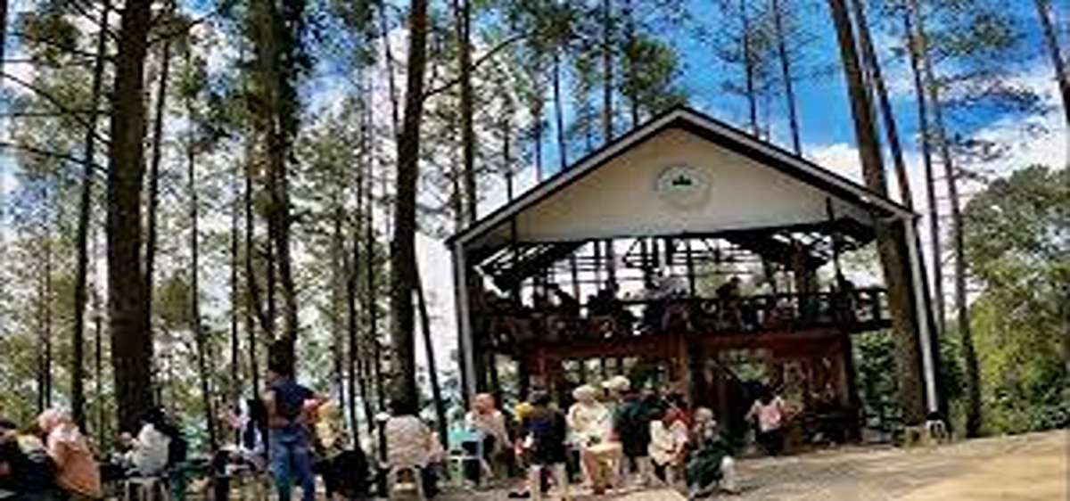 Estetik dan Seru! Cafe Viral Payakumbuh 2025, Dijamin Nyaman Dengan View Alam Memukau