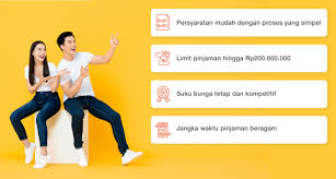 Panduan Lengkap Pinjaman Online Danamon, Pinjaman Bank Bunga Murah Tanpa Jaminan