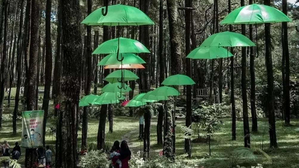 Pesona Tegal!! Wisata Terbaru 2024 Prabanlintang, Hutan Pinus Dengan Vibes Bikin Nyaman