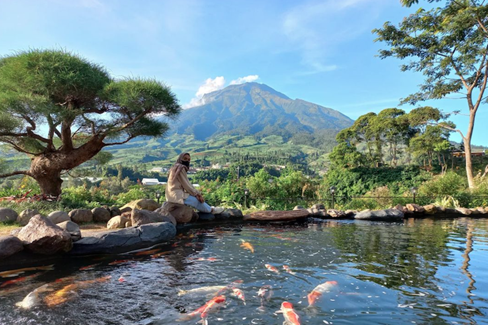 Sigandul View, Kolam Ikan Dengan Panorama Pegunungan, Pesona Wisata Terbaru 2024 Jateng