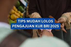 Panduan Pengajuan KUR BRI 2025 Tanpa Agunan, Mudah Dan Efektif Untuk Usaha Anda