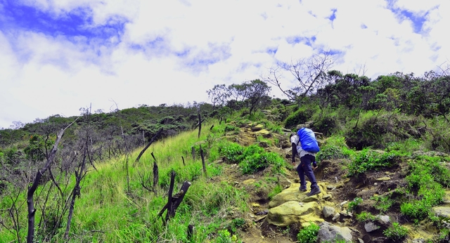 Sensasi Jalur Pendakian Sulit: Wisata Terbaru 2024 Gunung Pesagi Lampung Barat, Cek Info Lengkapnya Disini