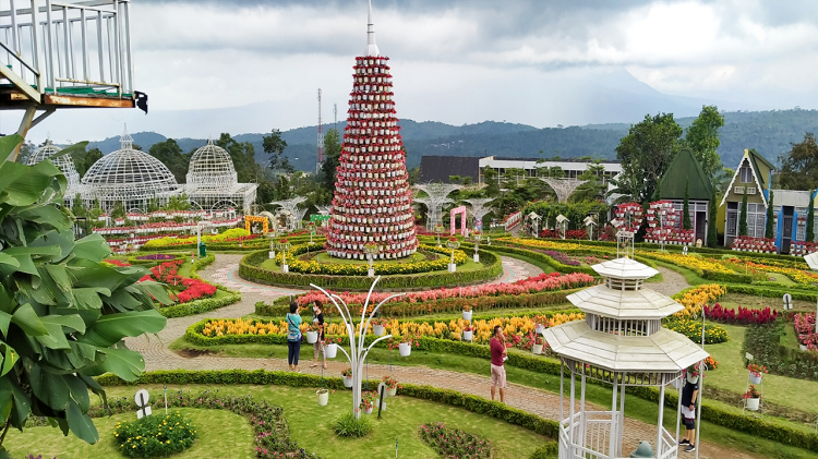 Liburan Hemat di Taman Bunga Celosia 2026, Ini Cara Dapat Diskon Tiket 