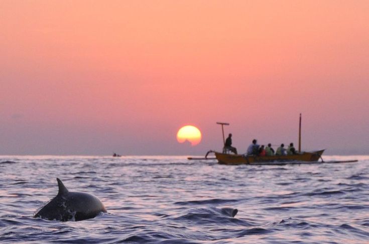 Pemandangan Eksotik Pantai Lovina Bali, Destinasi Wisata Terbaru 2024 Cocok untuk Libur Lebaran