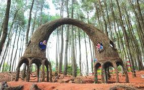 8 Rekomendasi Wisata Hutan Pinus Tempat Liburan Akhir Tahun Di Jogja, Bisa untuk Camping Juga