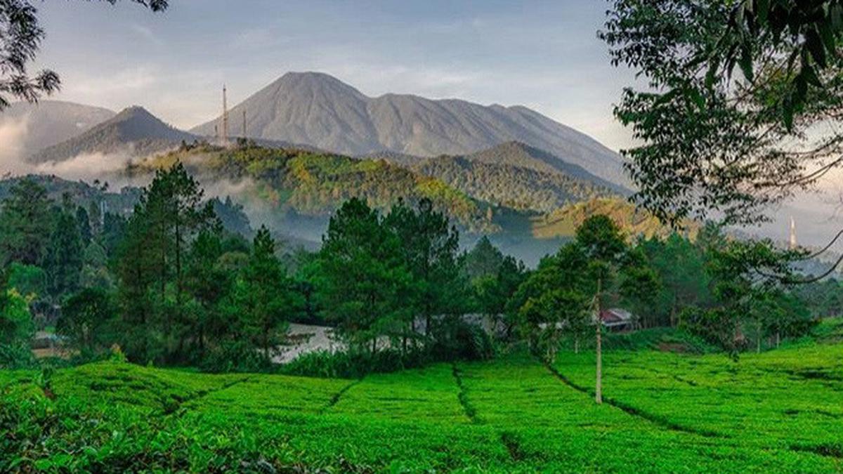 Libur Lebaran? Yuk Lihat Rekomendasi Wisata Terbaru 2024 Puncak Bogor, Cocok Dinikmati Saat Libur Lebaran