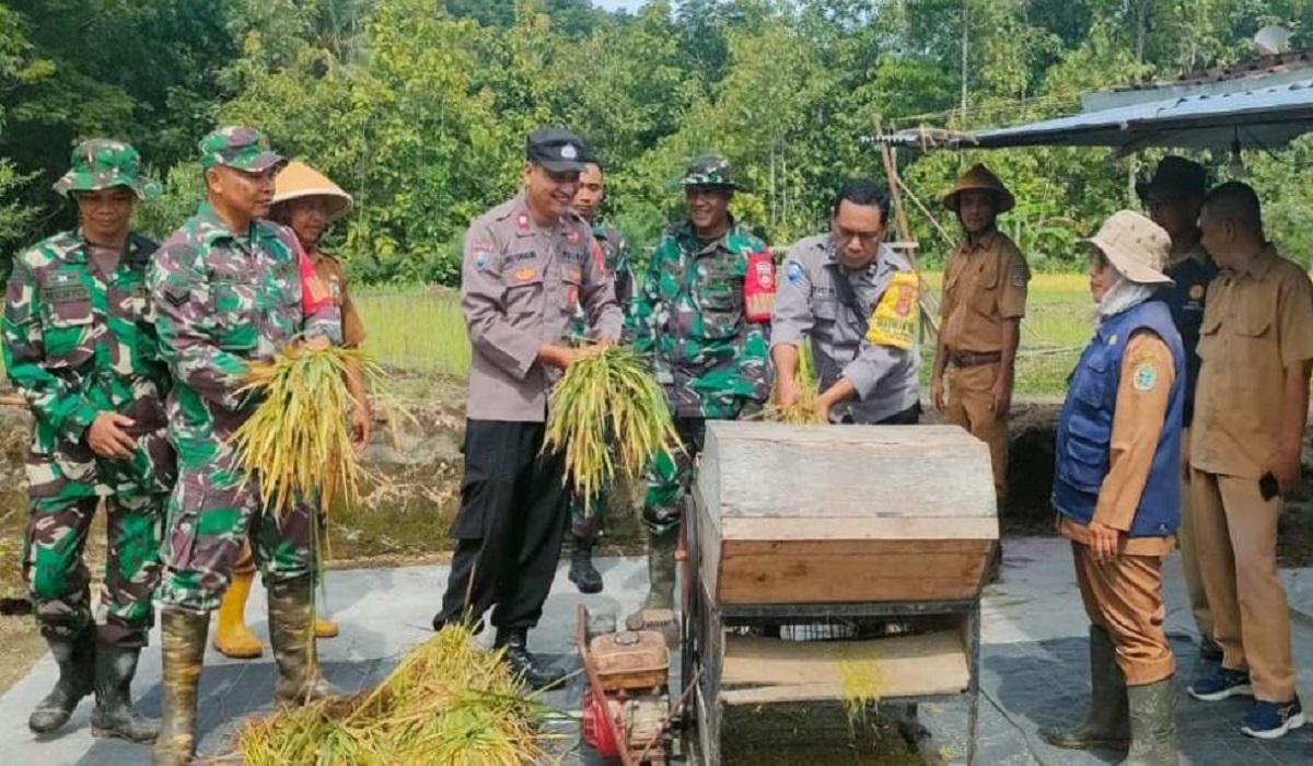 Capai Hasil Panen Tertinggi, Kapanewon Semin Resmi Jadi Sentra Penghasil Beras di Gunungkidul