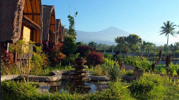 Surganya Pesona Persawahan Terasering dan Air Terjun Tersembunyi di Tetebatu Lombok