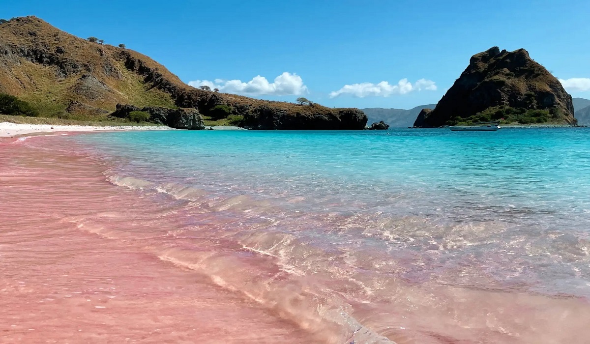 Menikmati Kejernihan Air Laut, Simak Daya Tarik dan Aktivitas Seru di Pink Beach Labuan Bajo