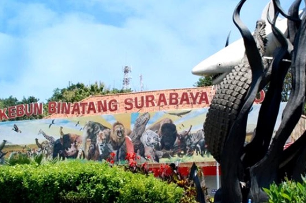 5 Tempat Makan Dekat Kebun Binatang Surabaya: Nyaman, Luas, dan Semua Menunya Menggoda