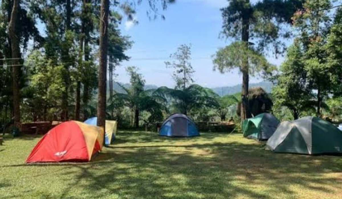 Wisata Terbaru 2024 Tenggir Park: Pesona, Tiket Masuk, Lokasi Fasilitas Lengkap