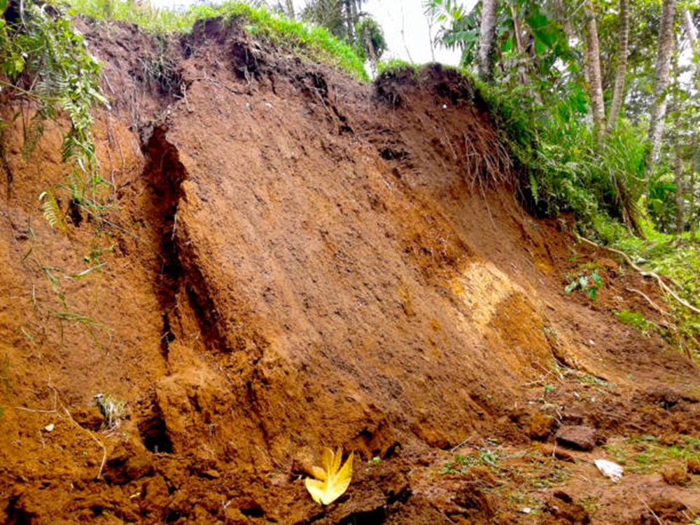 Musim Hujan Waspada Longsor, Begini Tanda-tandanya Menurut Pakar UGM